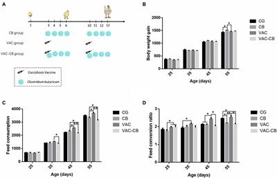 Single and Combined Effects of Clostridium butyricum and Coccidiosis Vaccine on Growth Performance and the Intestinal Microbiome of Broiler Chickens